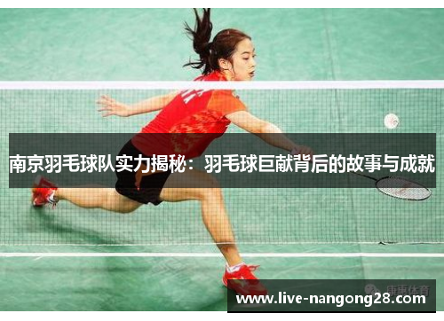 南京羽毛球队实力揭秘：羽毛球巨献背后的故事与成就