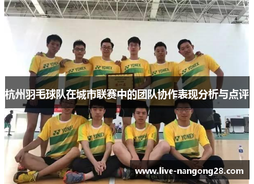 杭州羽毛球队在城市联赛中的团队协作表现分析与点评