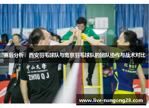 赛后分析：西安羽毛球队与南京羽毛球队的团队协作与战术对比